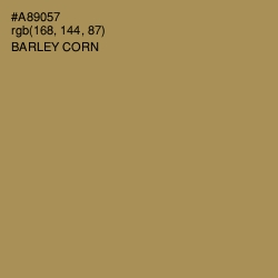 #A89057 - Barley Corn Color Image